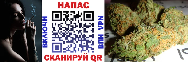 купить наркоту  Кирс  Каннабис индика 
